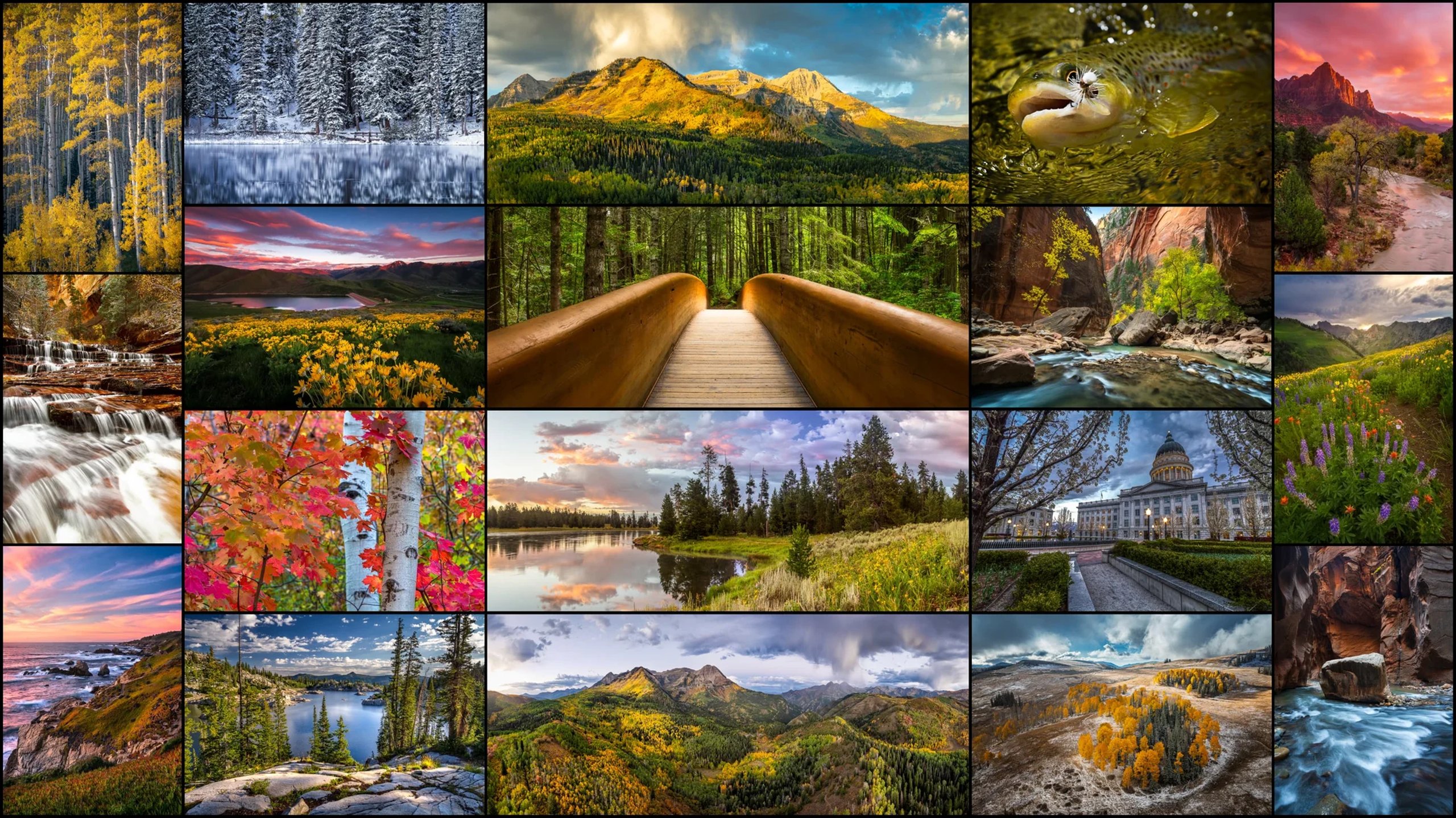  – fine art nature and landscape photography