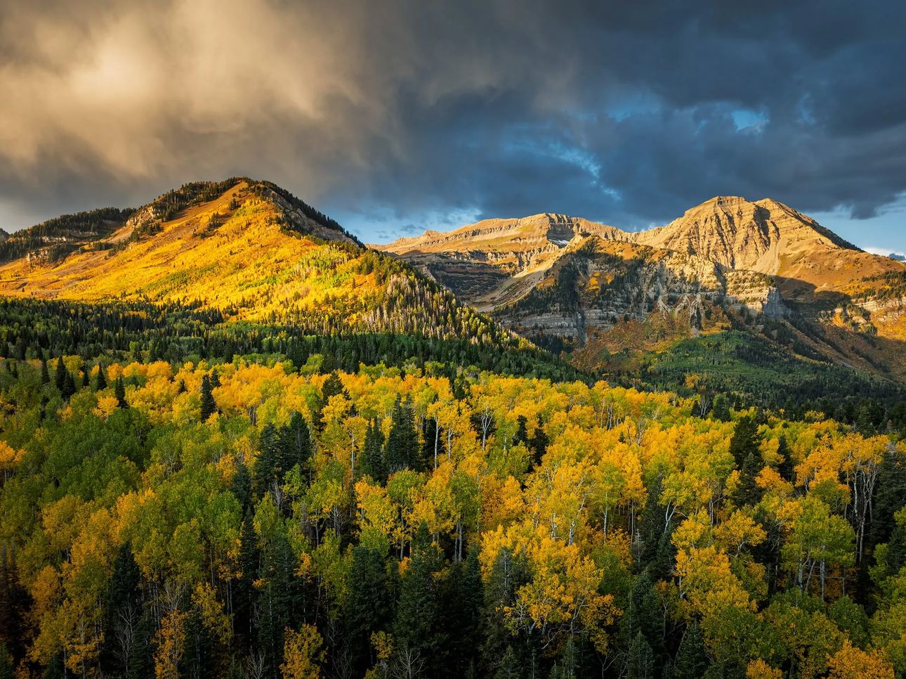 Utah mountain landscape near Mount Timpanogos with vibrant colors and natural light, fine art photography print by Clint Losee