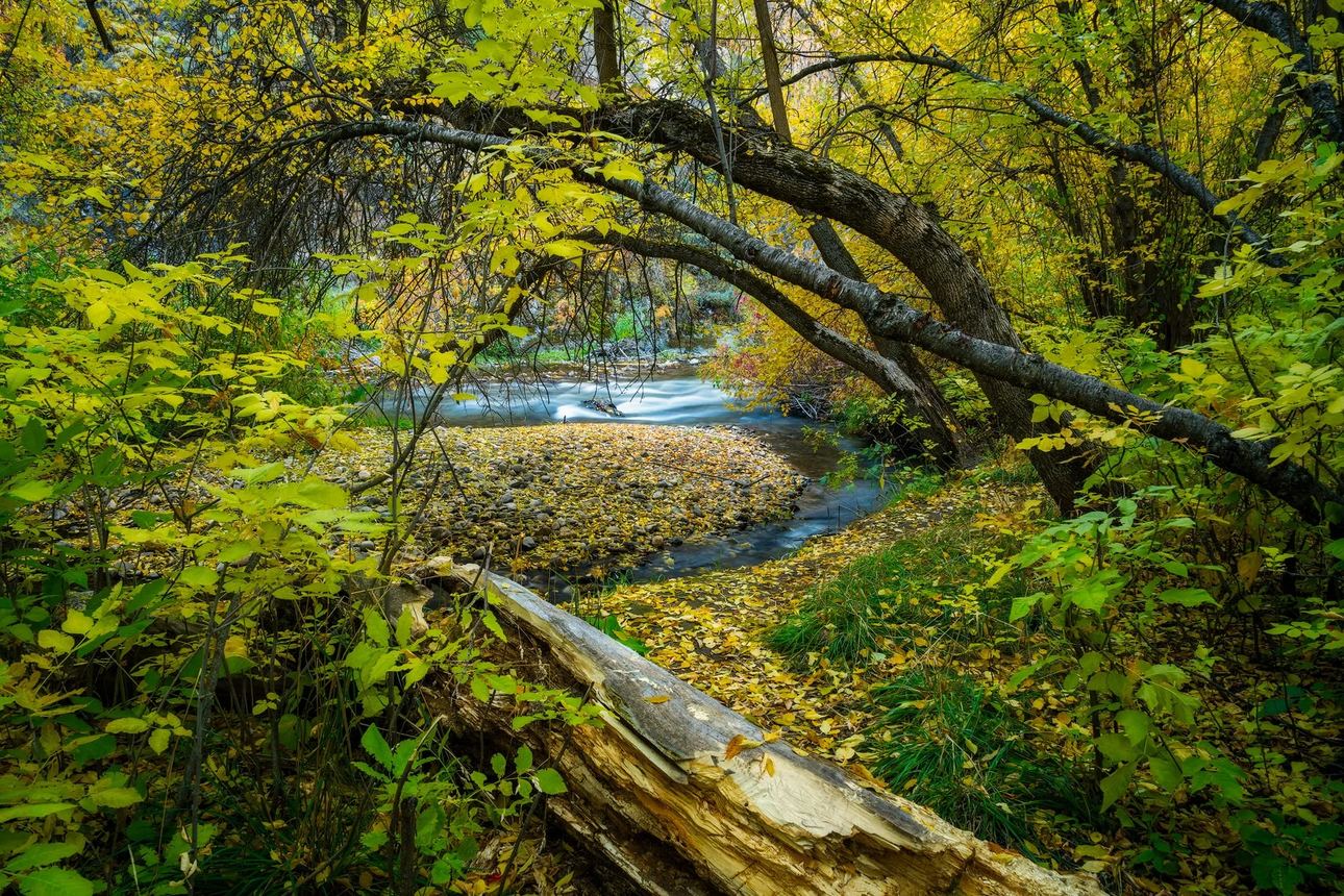 FinUtah nature photograph capturing natural paths and changing terrain, photography print by Clint Losee