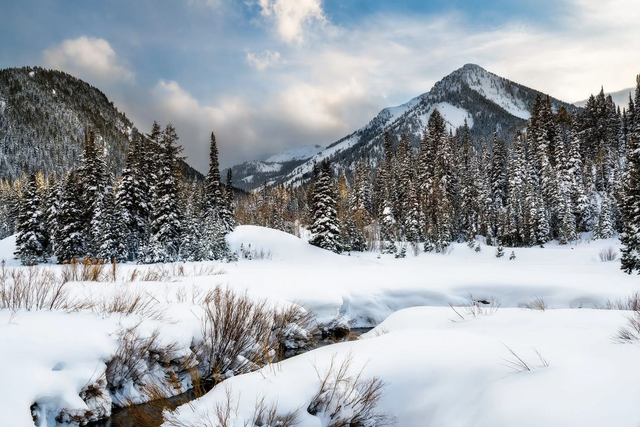 Fine art landscape photograph of Reynolds Flat in Big Cottonwood Canyon, Utah, with a snow-covered creek, frosted pine trees, and Wasatch mountain peaks under a winter sky.