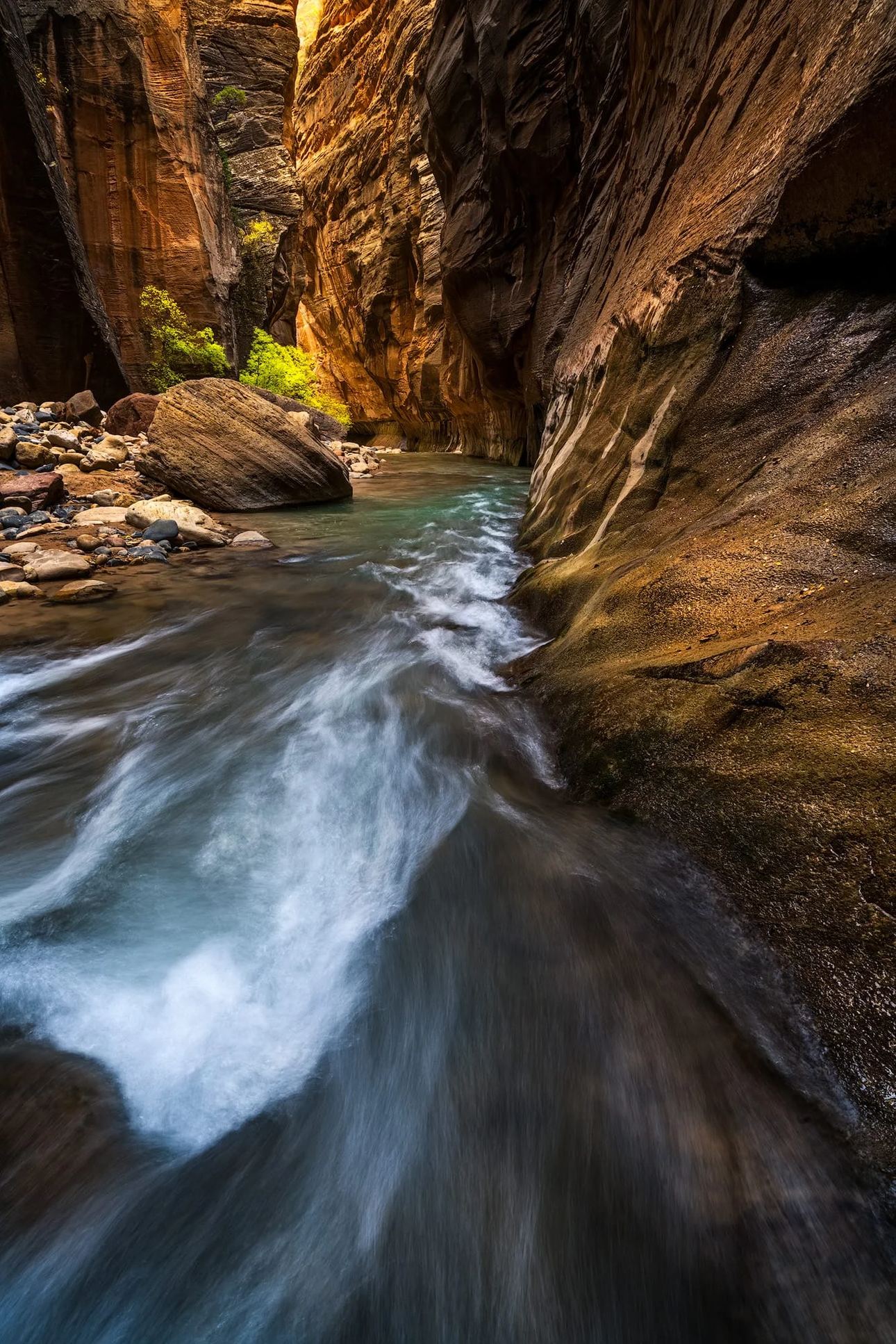 Paths on Water – Zion National Park, Utah