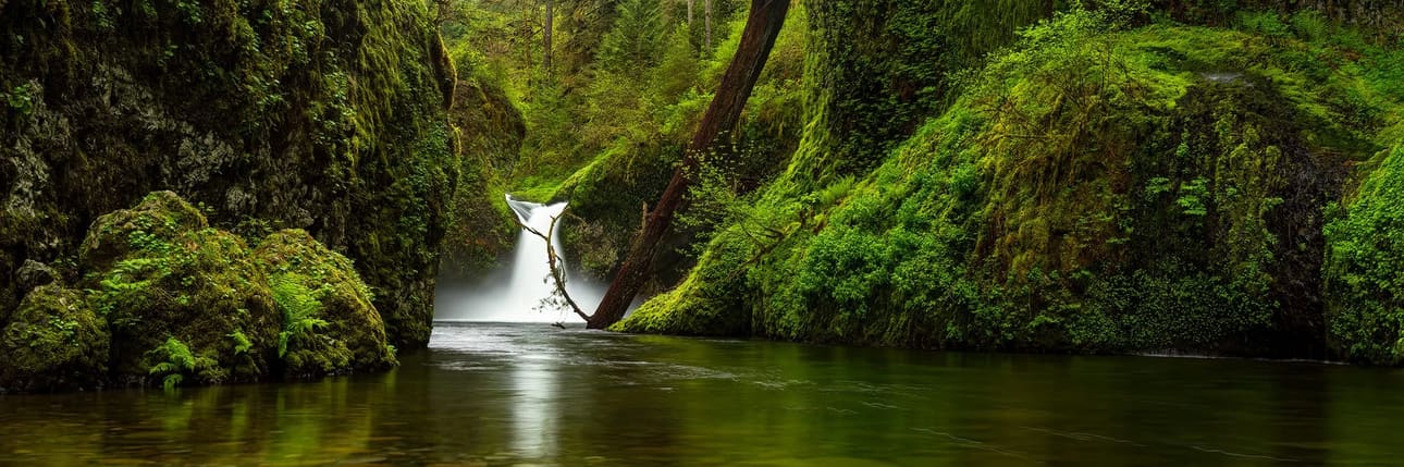 Punchbowl Spring Panorama – Columbia River Gorge, Oregon