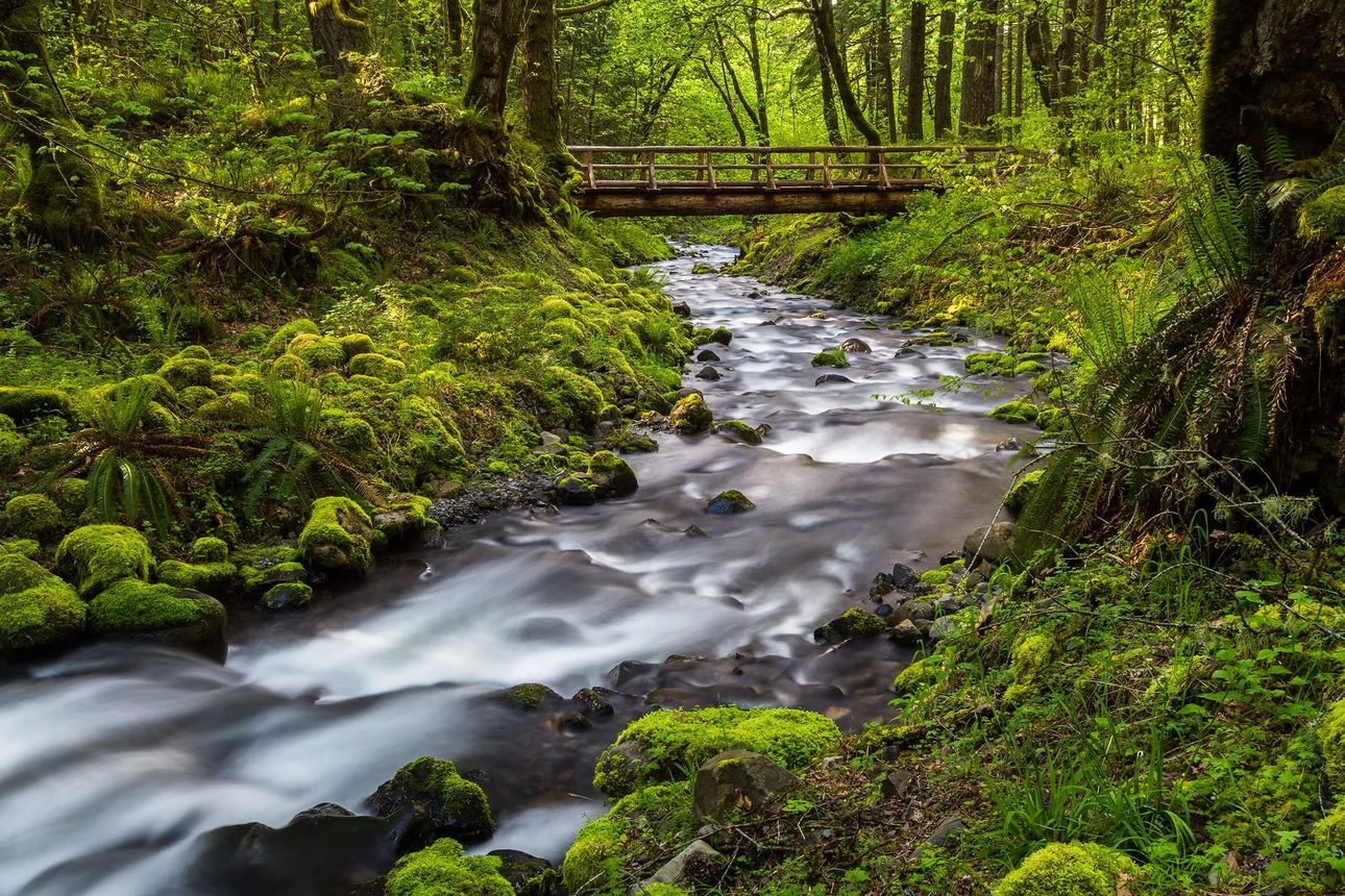 Water Under the Bridge – Oregon Nature, Oregon