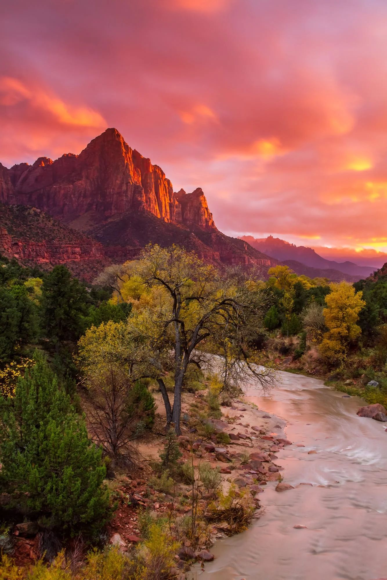 Watchman Sunset – Zion National Park | Fine Art Photography Print
