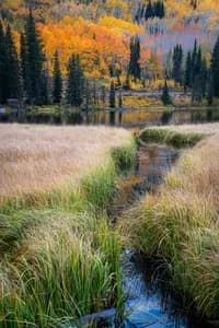 Golden aspen trees and pine forest reflected in a still lake with a small stream in Utah