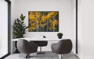 Autumn Stand In Office Setting