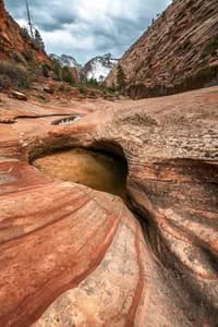Red sandstone rock walls with intricate textures and warm light in Zion National Park, Utah.