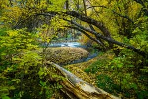 FinUtah nature photograph capturing natural paths and changing terrain, photography print by Clint Losee