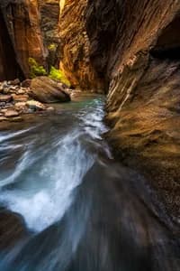 Paths on Water – Zion National Park, Utah