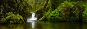 Punchbowl Spring Panorama – Columbia River Gorge, Oregon
