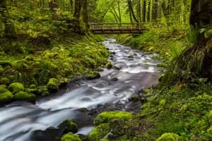 Water Under the Bridge – Oregon Nature, Oregon