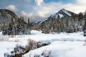 Fine art landscape photograph of Reynolds Flat in Big Cottonwood Canyon, Utah, with a snow-covered creek, frosted pine trees, and Wasatch mountain peaks under a winter sky.