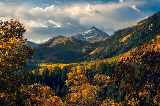 Autumn / Fall Landscapes