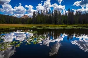 Utah Metal Prints