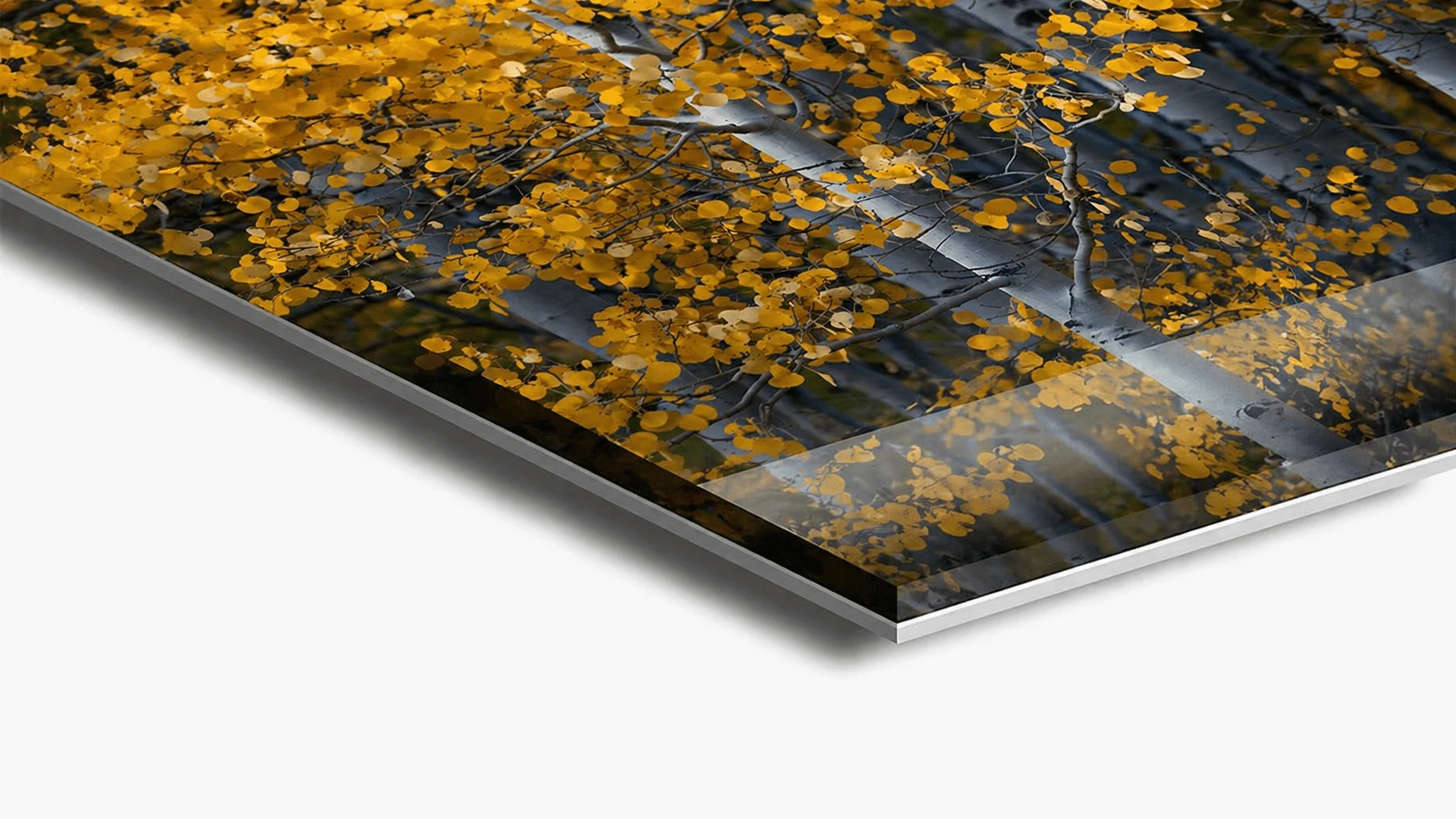 HD Acrylic Print | Clint Losee Photography