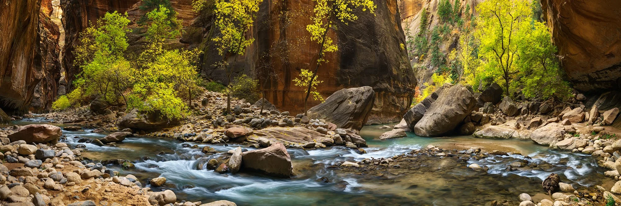 Moment of Perfection – Utah Landscape Zion National Park, Utah