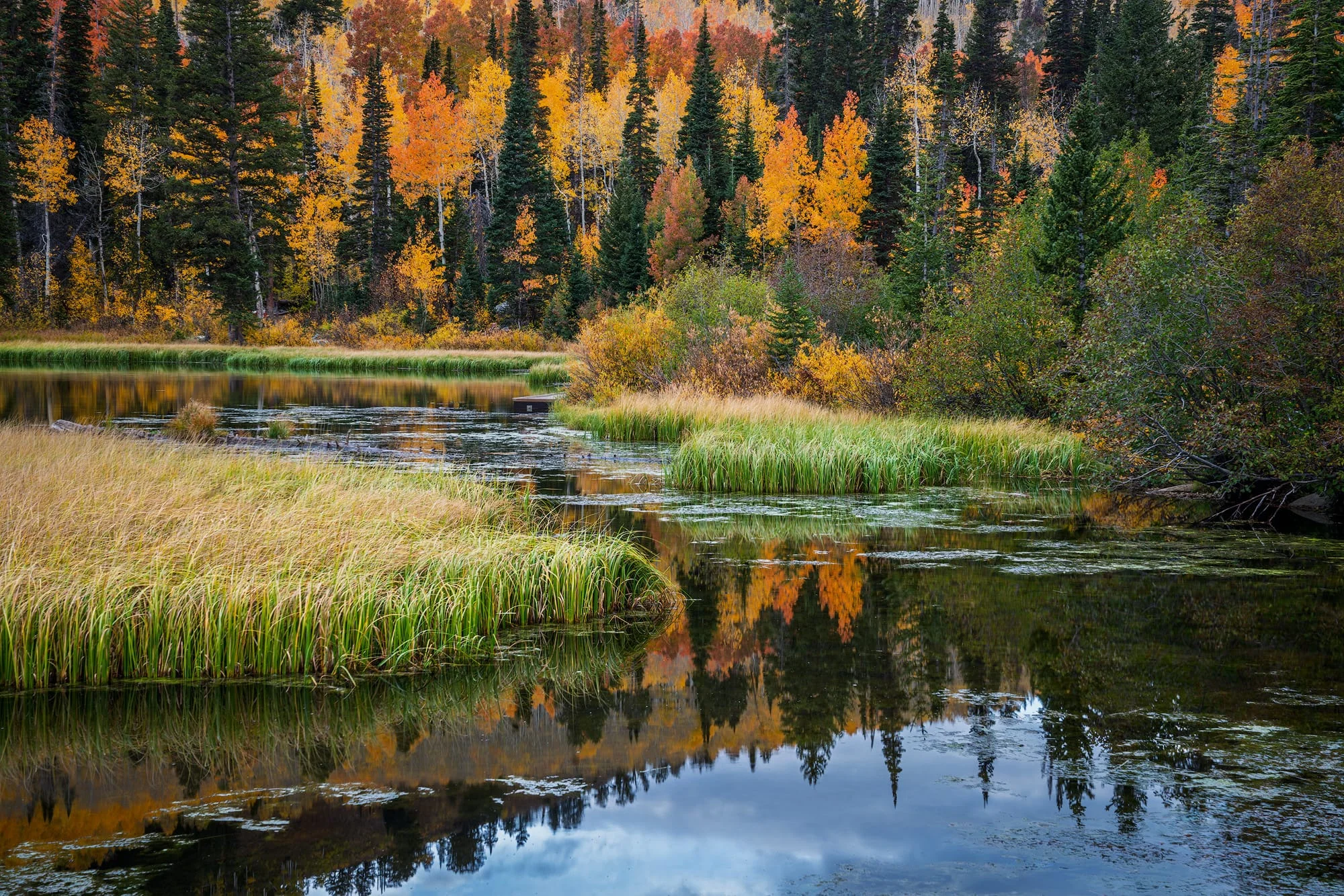 Utah nature photograph capturing seasonal reflections in nature, photography print by Clint Losee