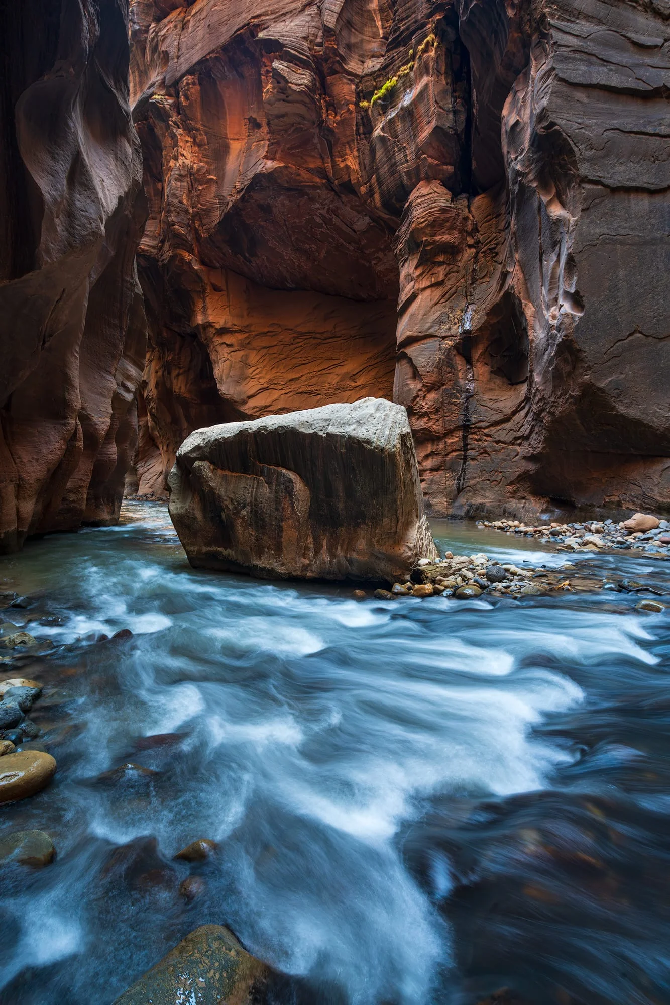 A beautiful fine art photography print titled Silent Passage in Zion National Park.