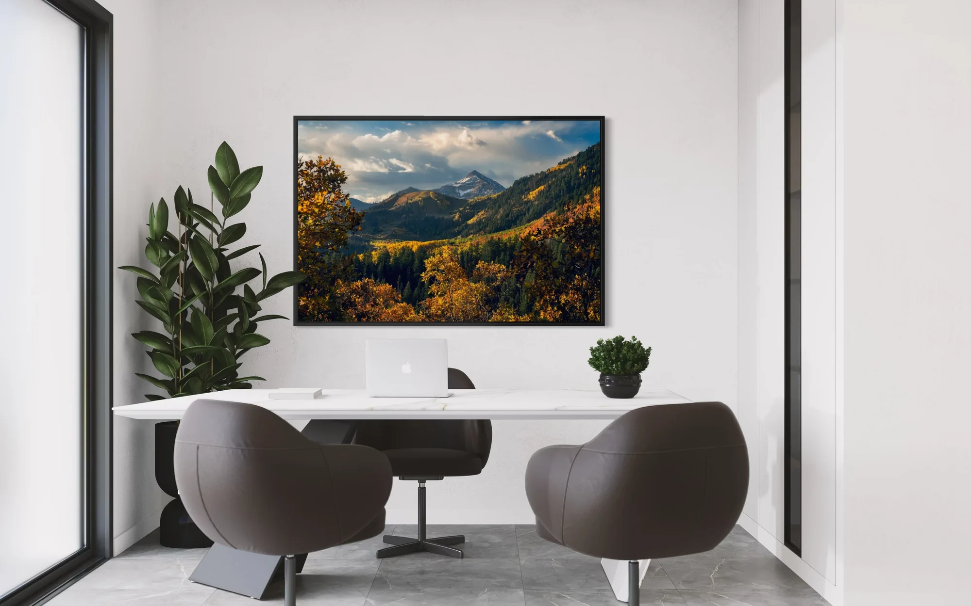 Sundance Gold In Office
