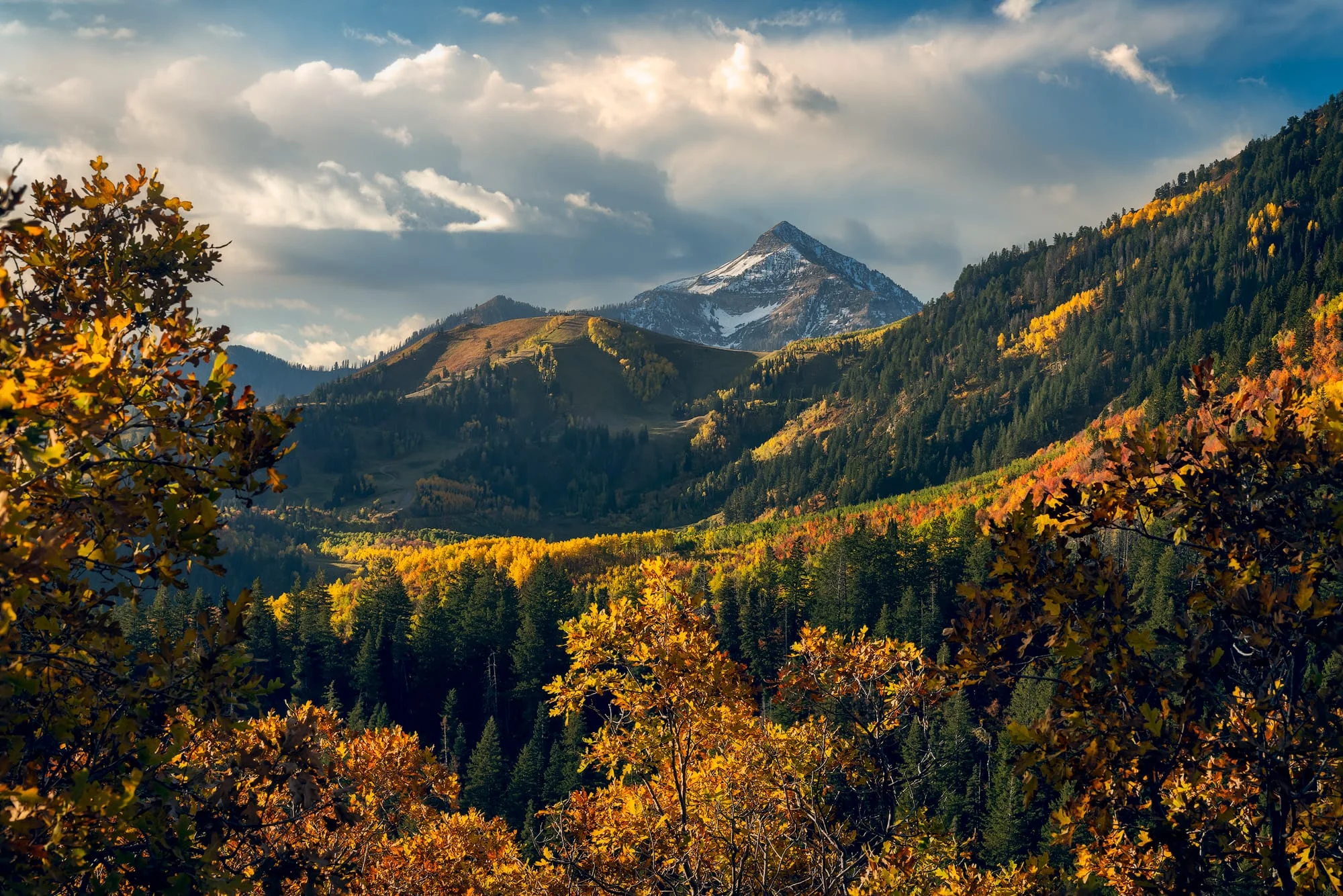 Utah mountain landscape near Sundance with warm golden light, fine art photography print by Clint Losee