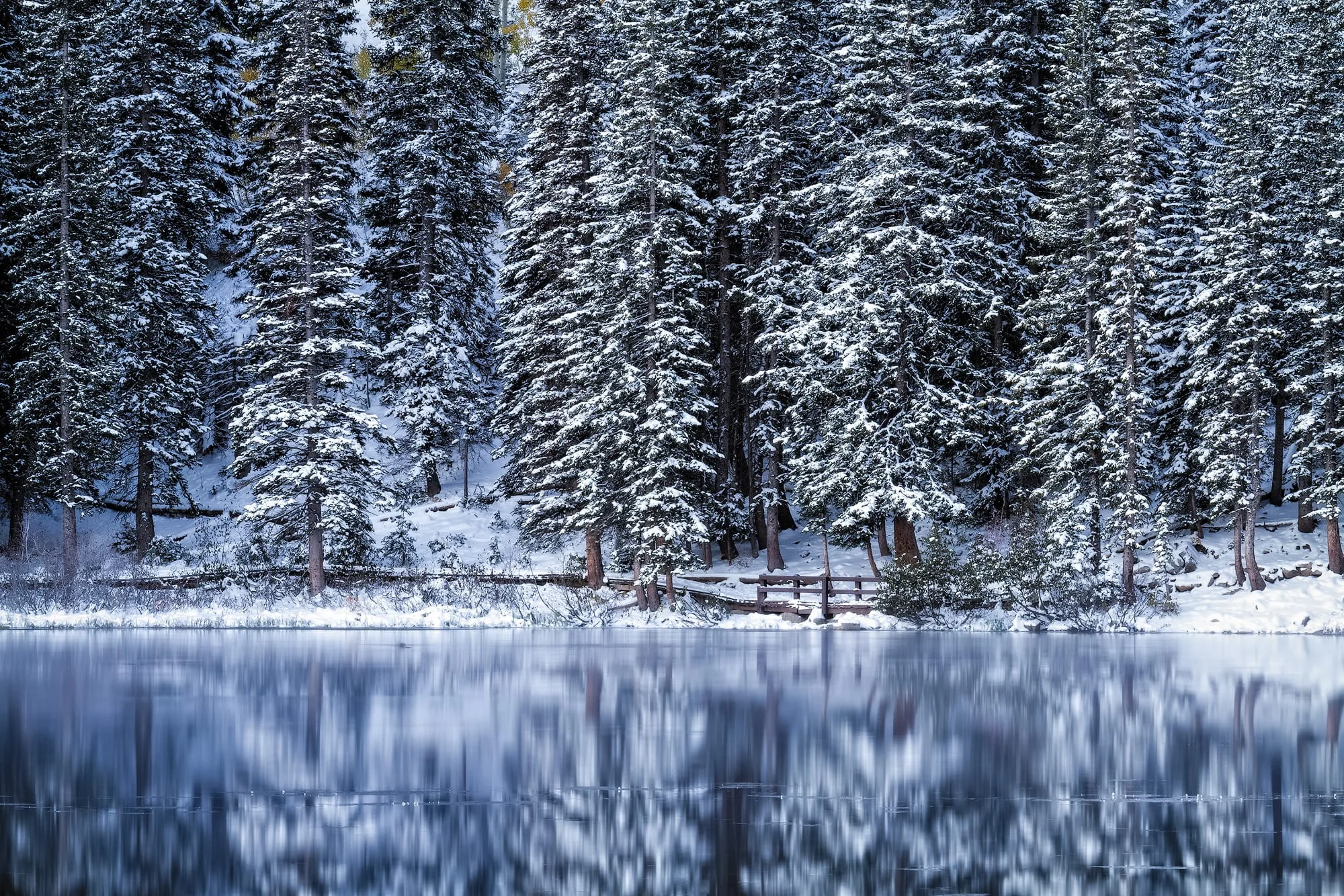 Winter Walkway Fine Art Nature Photography