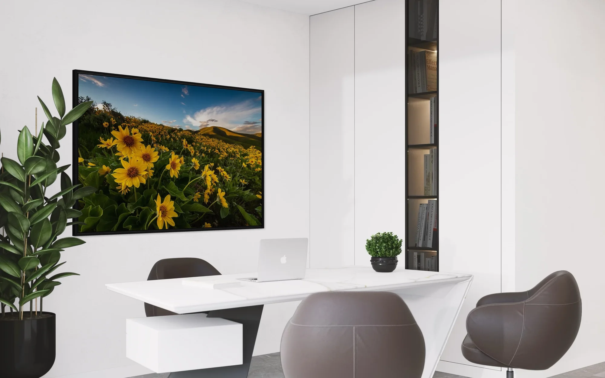 Yellow Balsamroot Wildflower In Office Setting