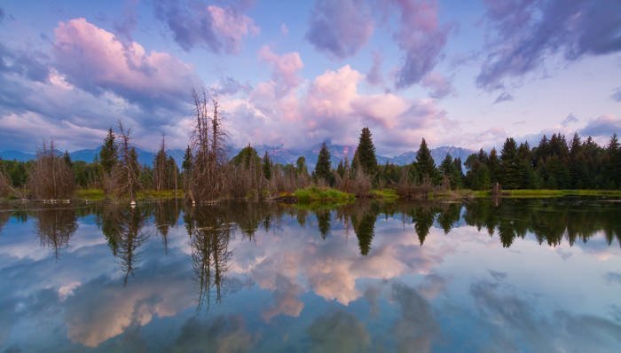 Schwabacher Landing Sunrise - Grand Teton National Park - Landscape Photography