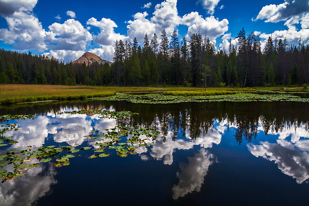Lake Marion sits in Utah's Uinta mountains. After a little hiking you come across this gem of a small little lake. While the fishing is alright, the reflections on a warm Summer cloud-filled day are great! (Clint Losee)