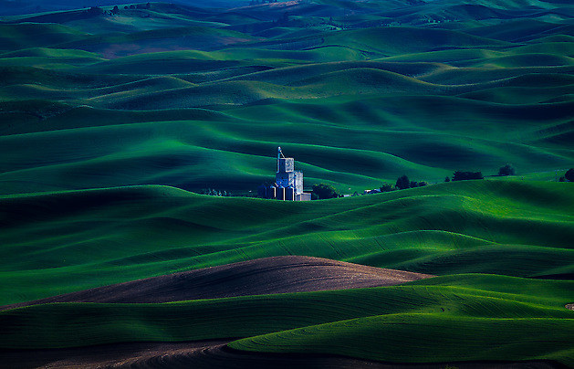 The rolling green hills of the Palouse Region in Eastern Washington provide endless views from Steptoe Butte.  Here a loan grain storage center sits among the flowing green country hillside. (Clint Losee)