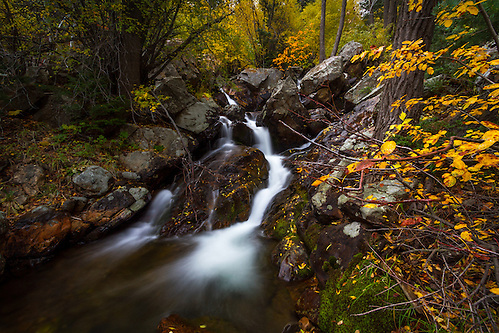 A small stream rushes through the hillside in Big Cottonwood Canyon near Salt Lake City, Utah in the Fall.  Fall colors envelope the area adding a splash of color. (Clint Losee)