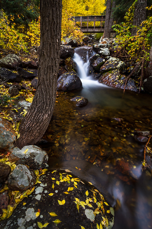 A small stream rushes through the hillside and under a bridge in Big Cottonwood Canyon near Salt Lake City, Utah in the Fall.  Fall colors envelope the area adding a splash of color to the rocks along its banks. (Clint Losee)