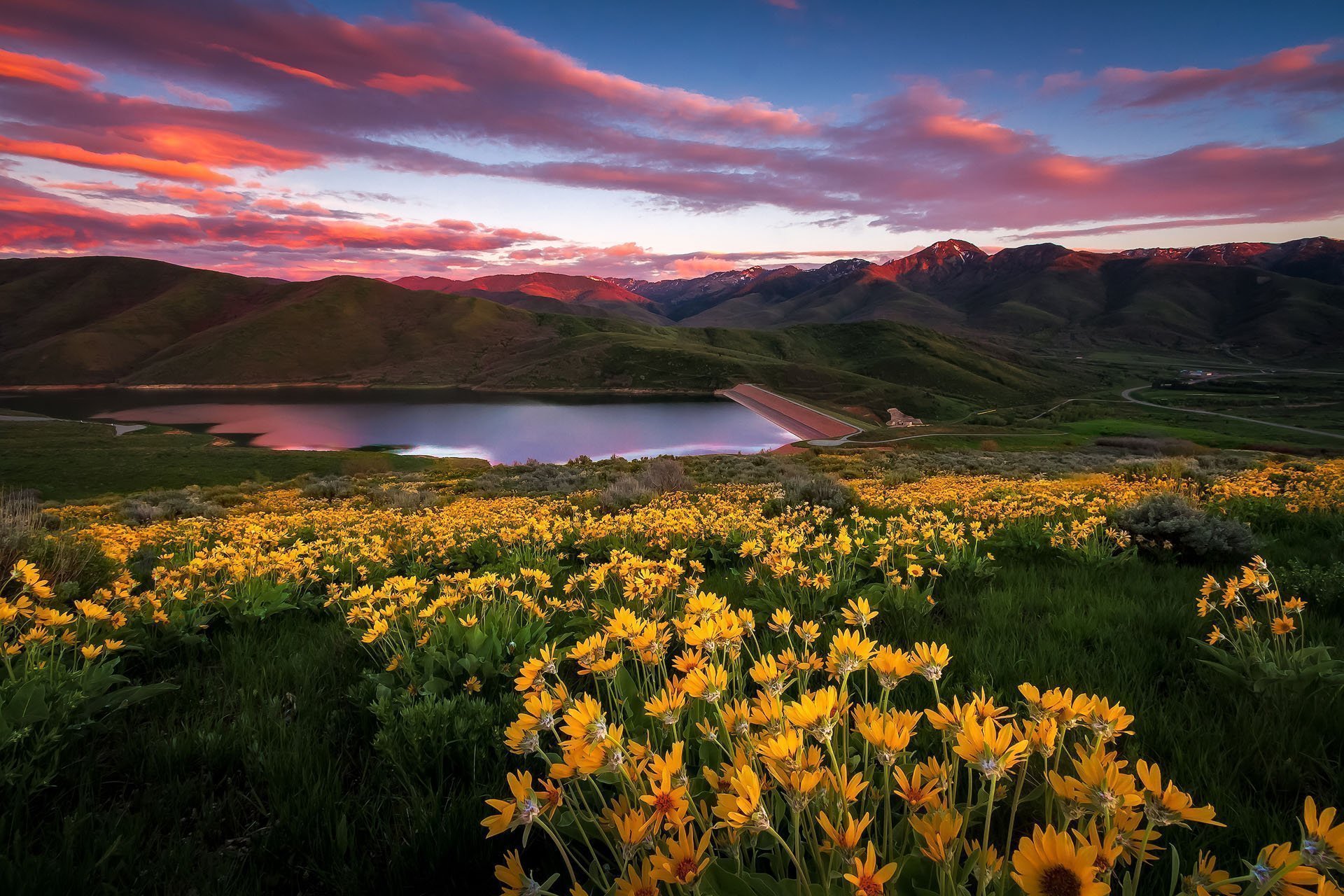 East Canyon Yellow Balsamroot Sunset - Luxury Utah Landscape Photography