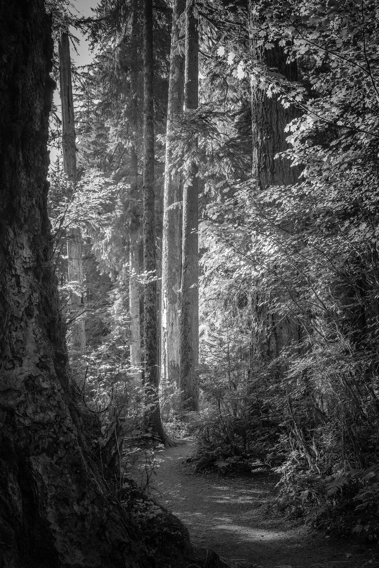 Eternity - Luxury Nature Photography