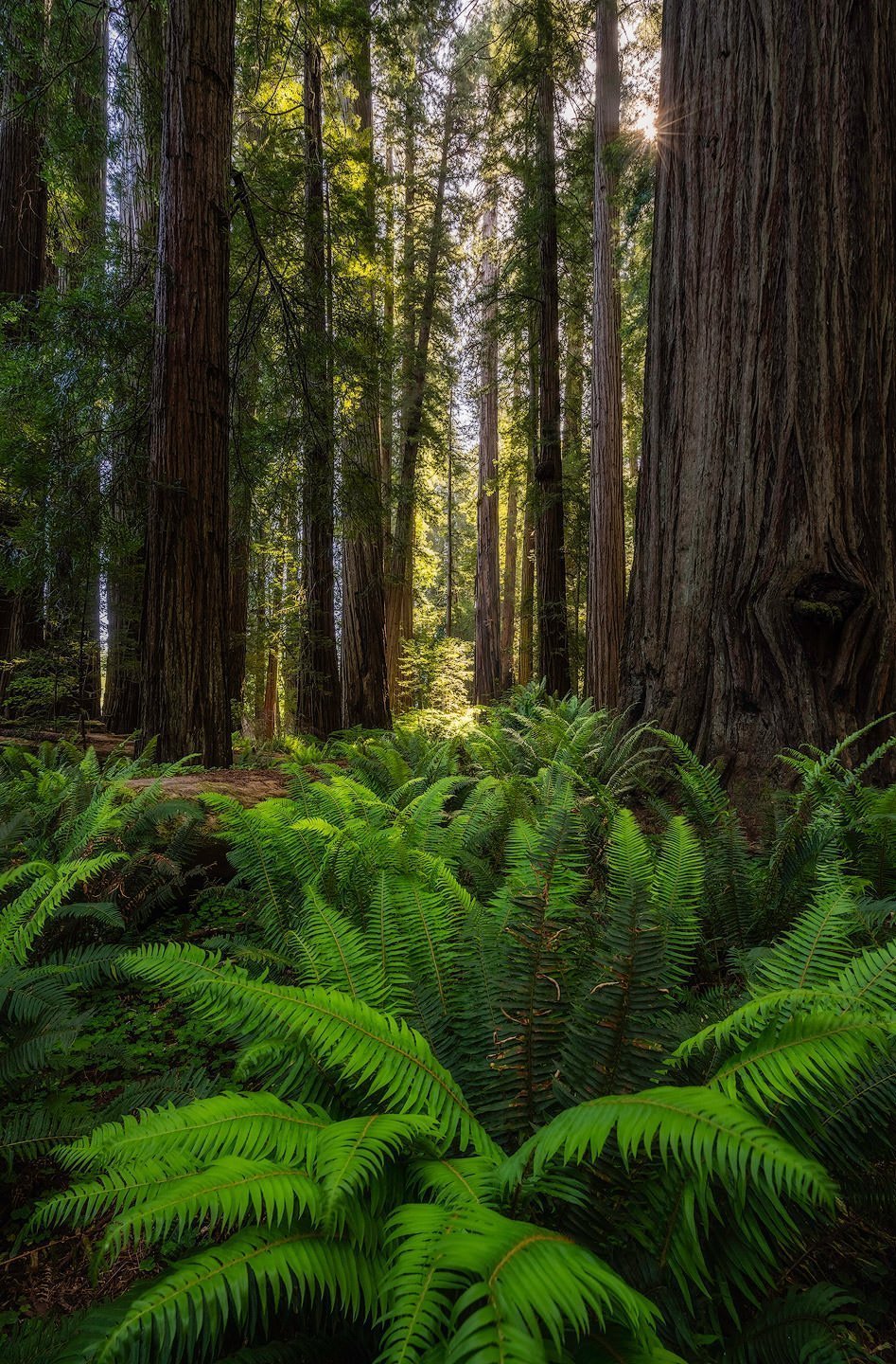 Once Upon a Time - Luxury Landscape Photography