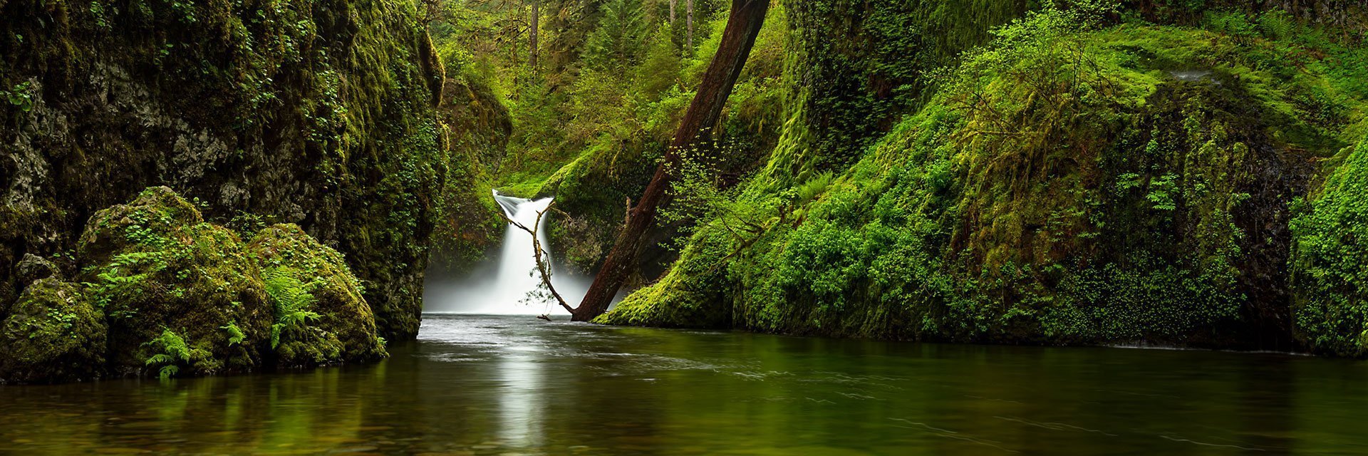 Punchbowl Falls Waterfall Spring Panorama-Columbia River Gorge Panoramic Photography