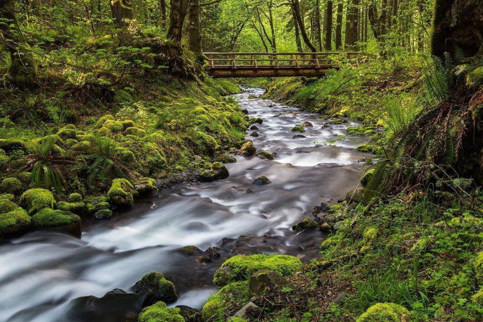 Water Under The Bridge - Luxury Oregon Nature Photography