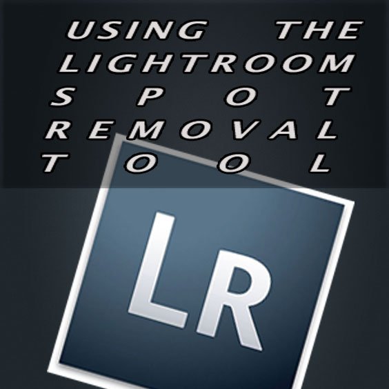 How to Use the Lightroom Spot Removal Tool