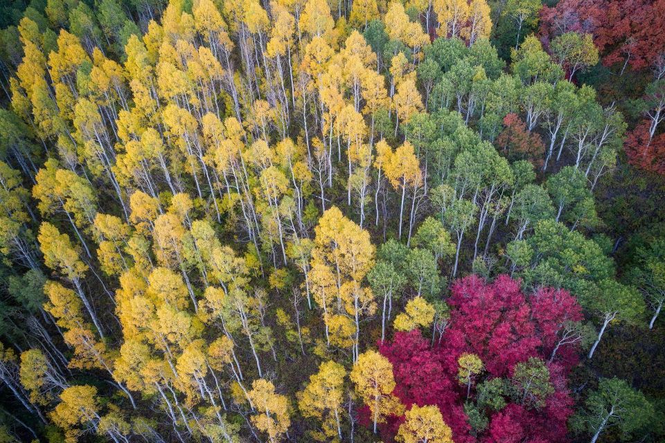 Explosion - Utah Aerial Fall Color Photography