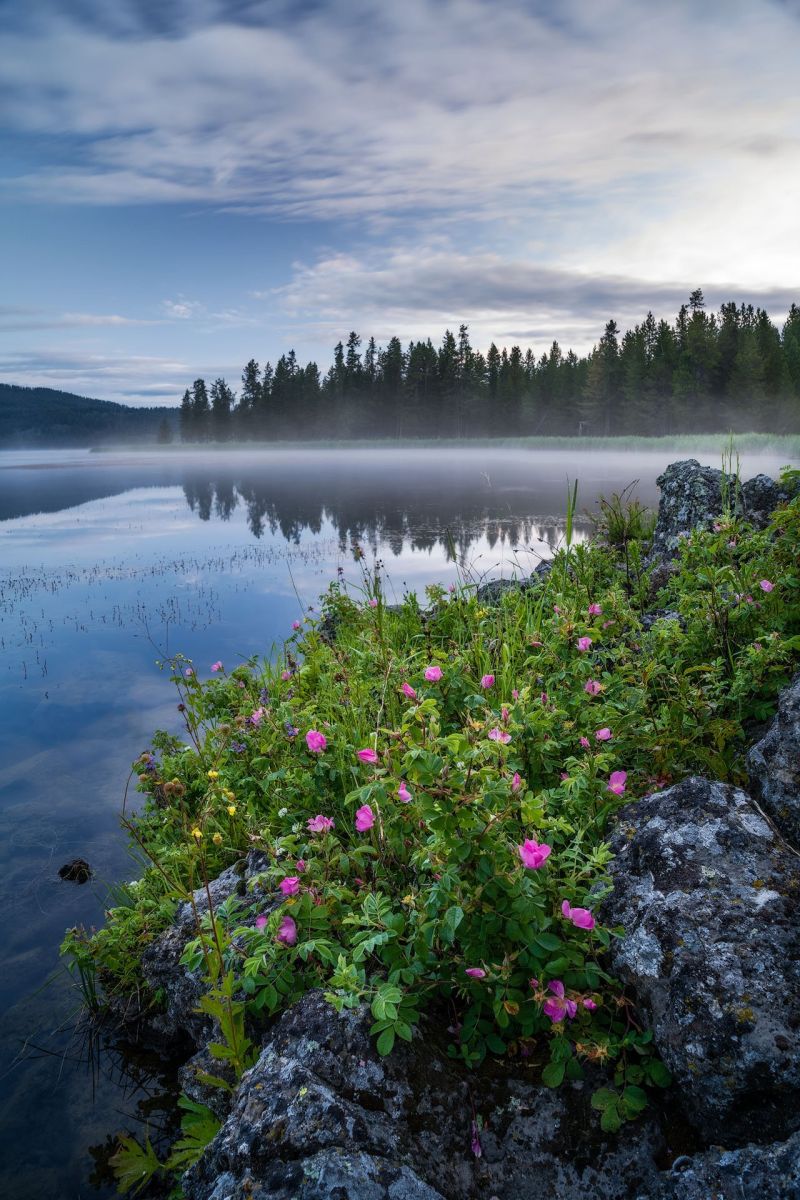 Morning Revealed - Idaho Landscape Photography