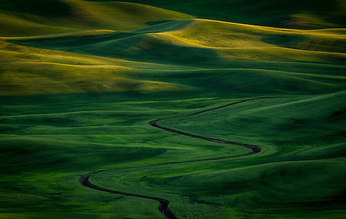 A meandering ditch winds its way through the lush green rolling hills of the Palouse in Southeastern Washington. (Clint Losee)