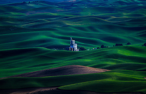 The rolling green hills of the Palouse Region in Eastern Washington provide endless views from Steptoe Butte.  Here a loan grain storage center sits among the flowing green country hillside. (Clint Losee)
