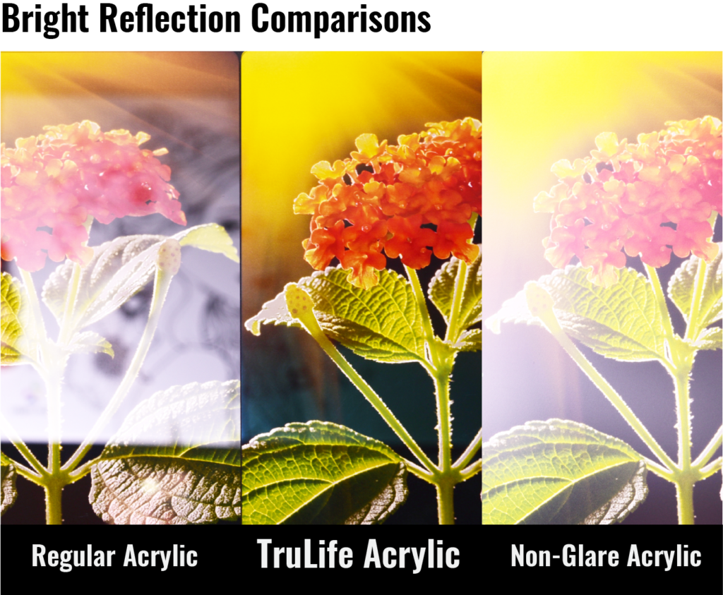 Acrylic Print Reflection Comparisons_Clint Losee Photography For Sale