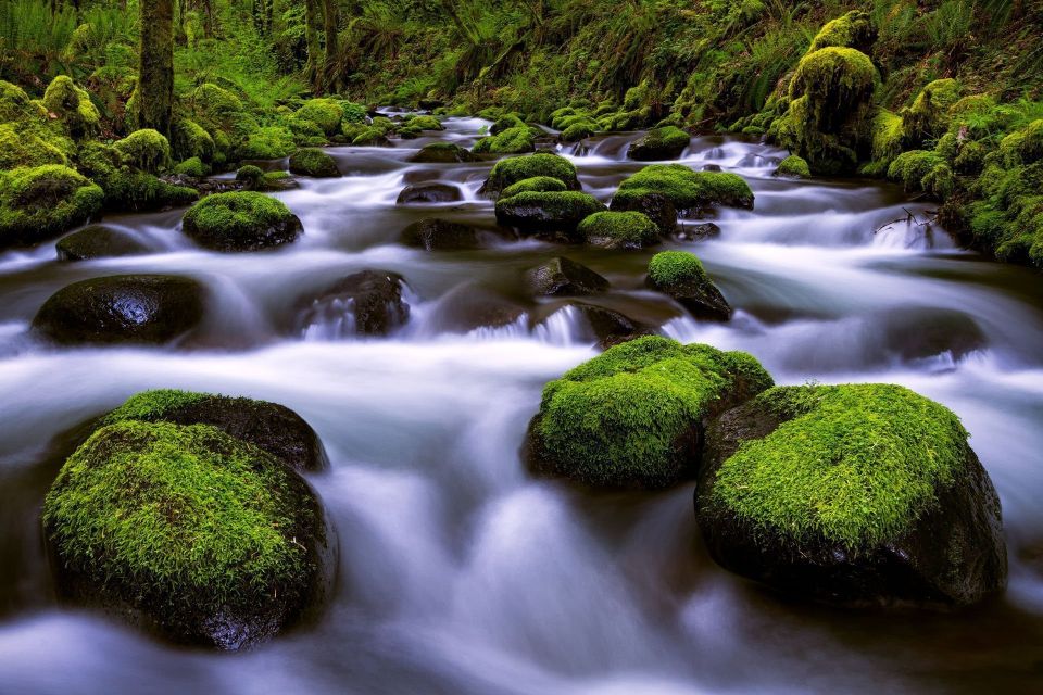 Gorton Flow - Columbia River Gorge - Landscape Photography