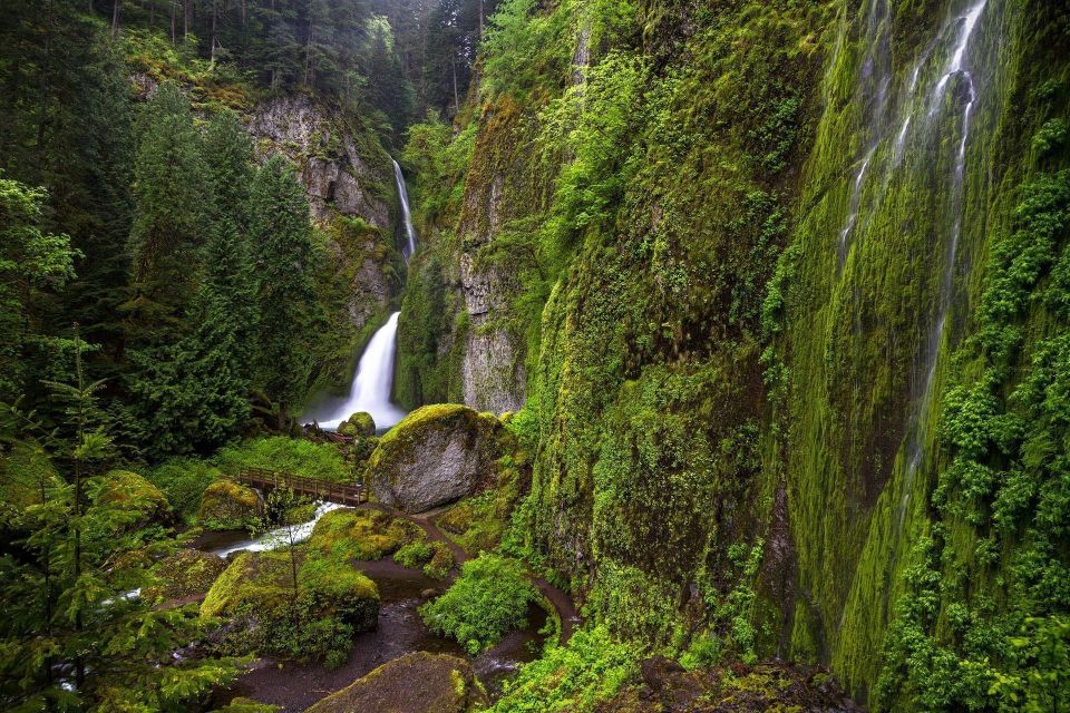 Wahclella Canyon Vantage - Wahclella Falls - Columbia River Gorge Landscape Photography
