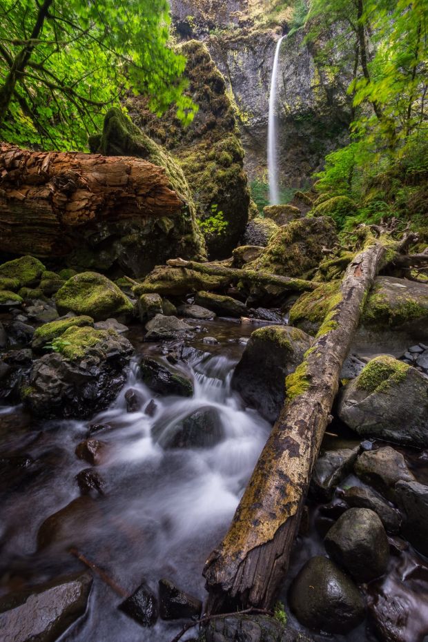 Elowah Beauty - Oregon Waterfall Photography