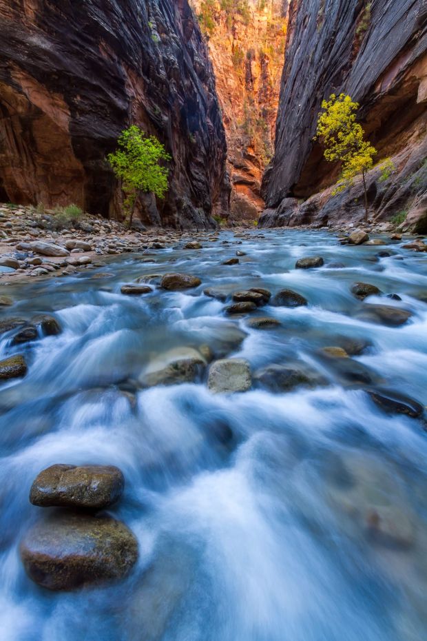 Pathway through the Narrows - Utah National Park Photography