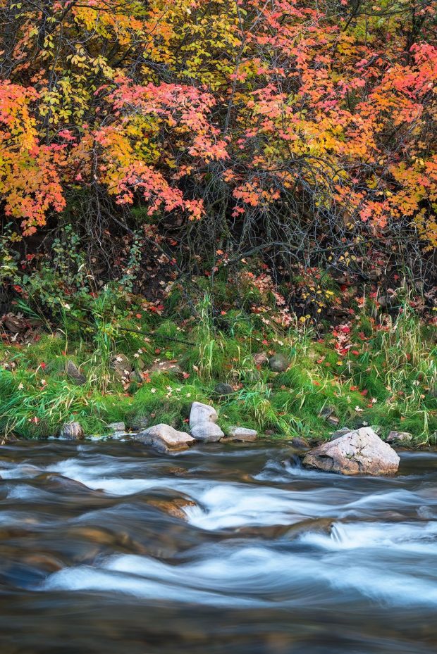 Change - Utah Luxury Nature Photography