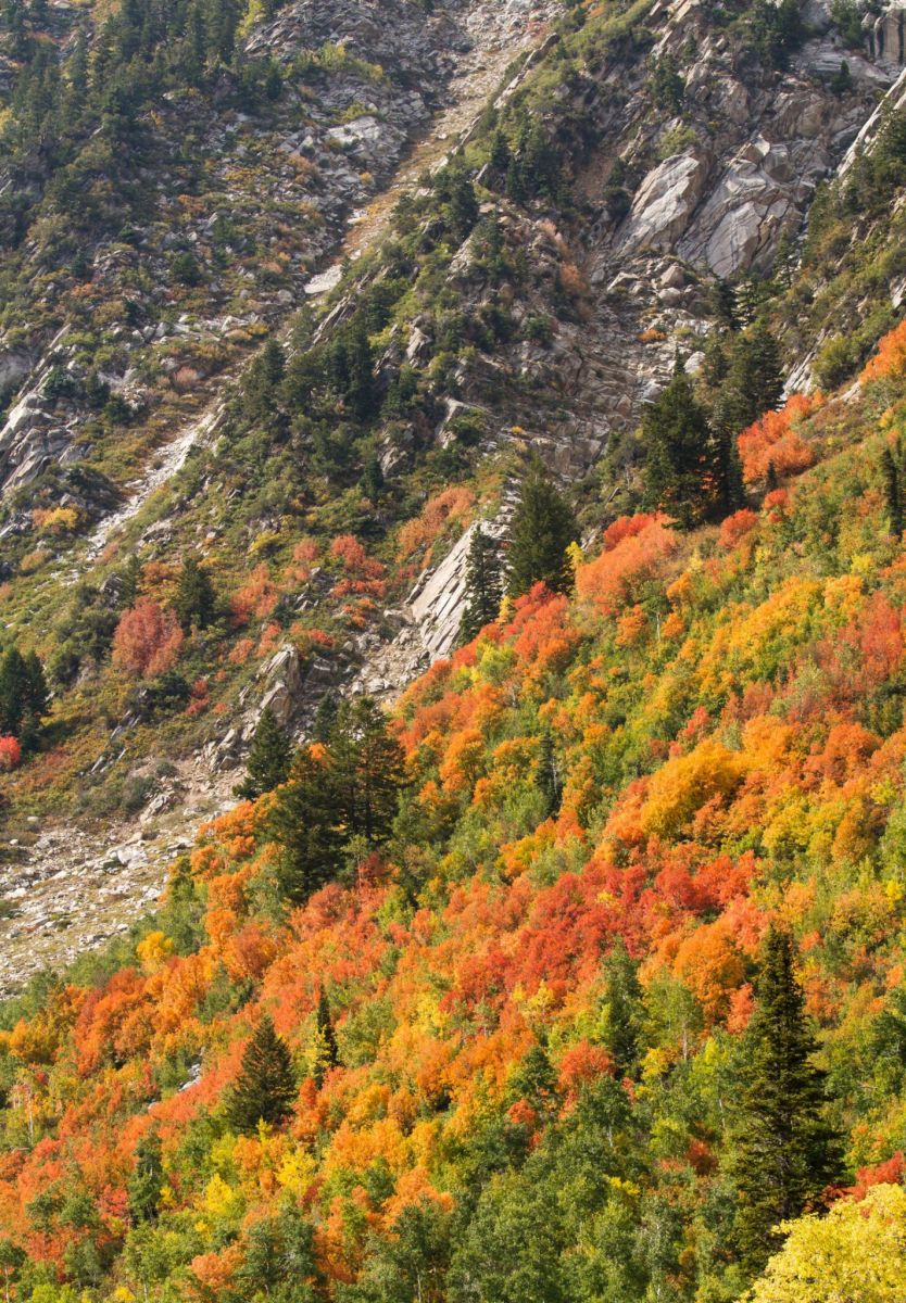 2012 Utah Fall Colors