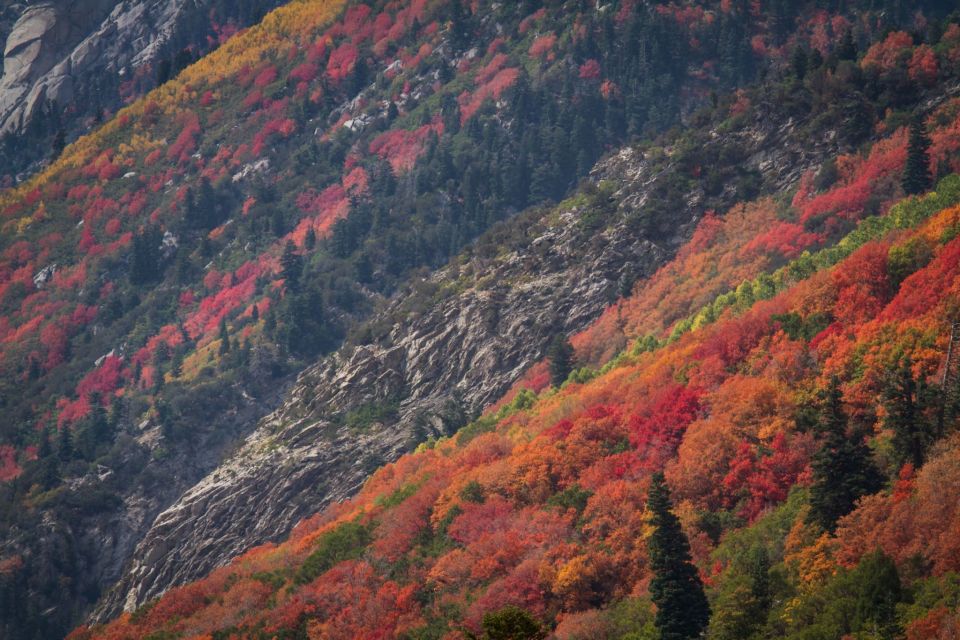 Little Cottonwood Canyon Utah Fall Colors