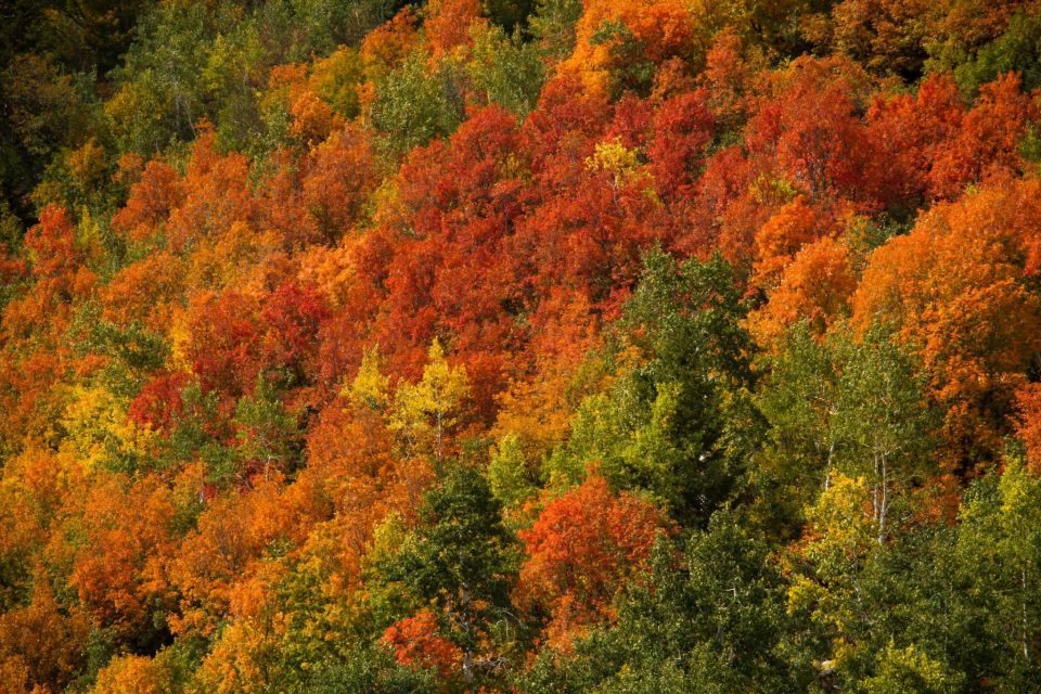 Utah Fall Colors on the Wasatch Front